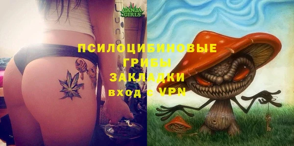 2c-b Аркадак