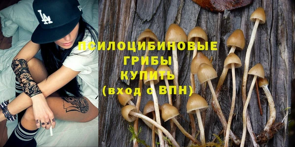 не бодяженный Армянск