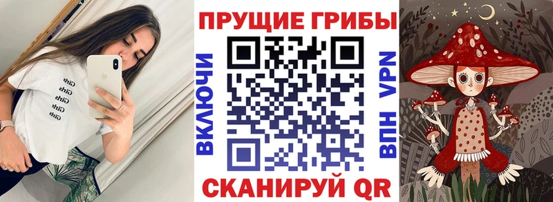 где купить наркотик  Похвистнево  Псилоцибиновые грибы GOLDEN TEACHER 
